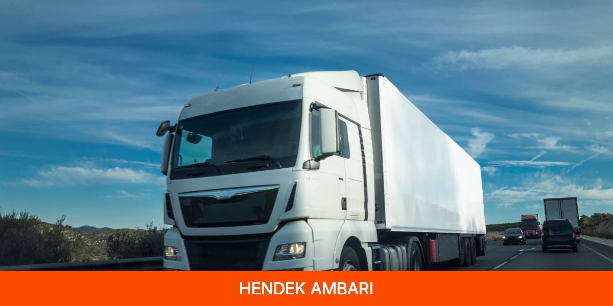 Hendek Ambarı